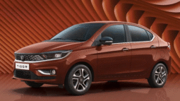 tigor